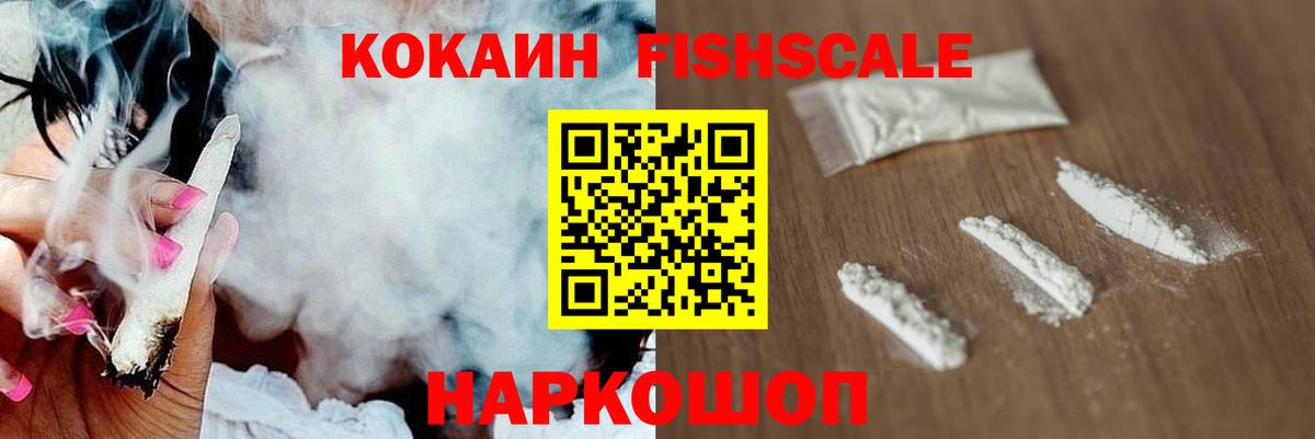 Cocaine Fish Scale  COCAIN Fish Scale  Армавир  Вход с VPN 