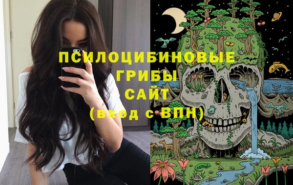 хмурый Балабаново