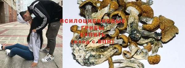 хмурый Балабаново