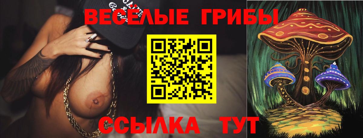 Псилоцибиновые грибы мухоморы  Галлюциногенные грибы Cubensis  Армавир  Вход с VPN 